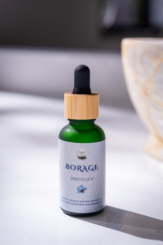 Borage ~ Borago officinalis